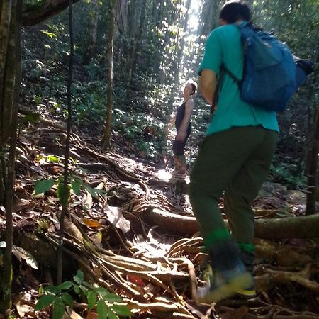 Rainforest River Edge Deniyaya Bagian luar foto