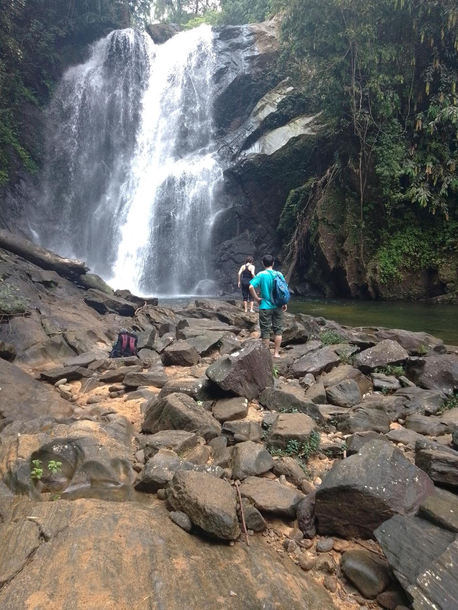 Rainforest River Edge Deniyaya Bagian luar foto
